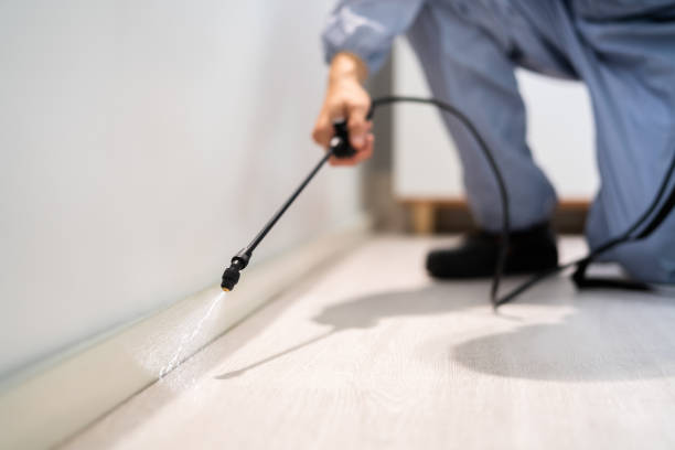 Bed Bug Pre-Treatment Preparation Assessment in Ralls