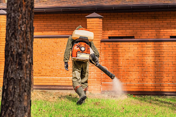 Bed Bug Clearance Verification and Documentation in Ralls